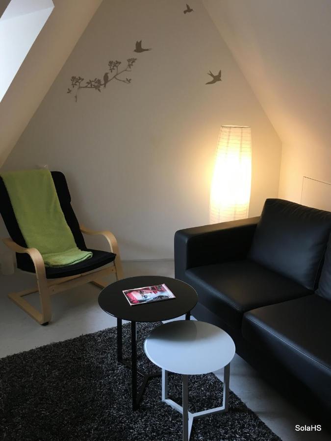 Ferienwohnung Le Nid De La Cathedrale Straßburg Exterior foto